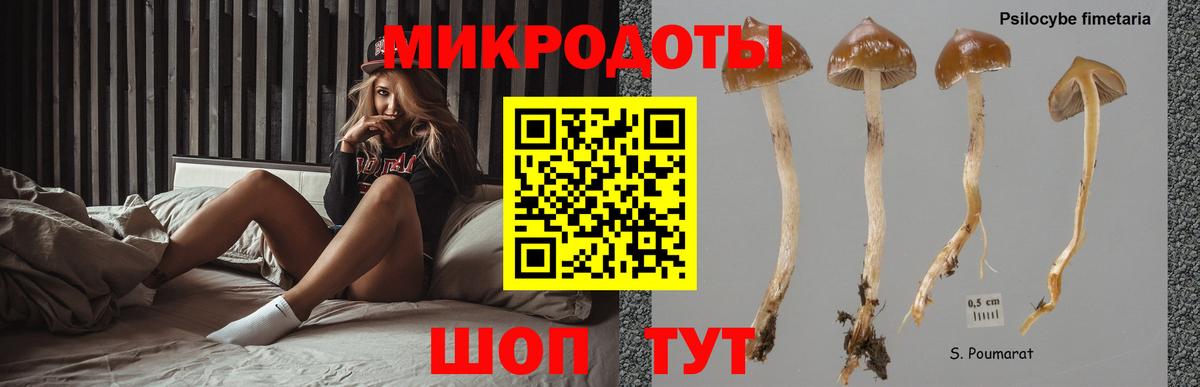 Галлюциногенные грибы Cubensis Кувандык